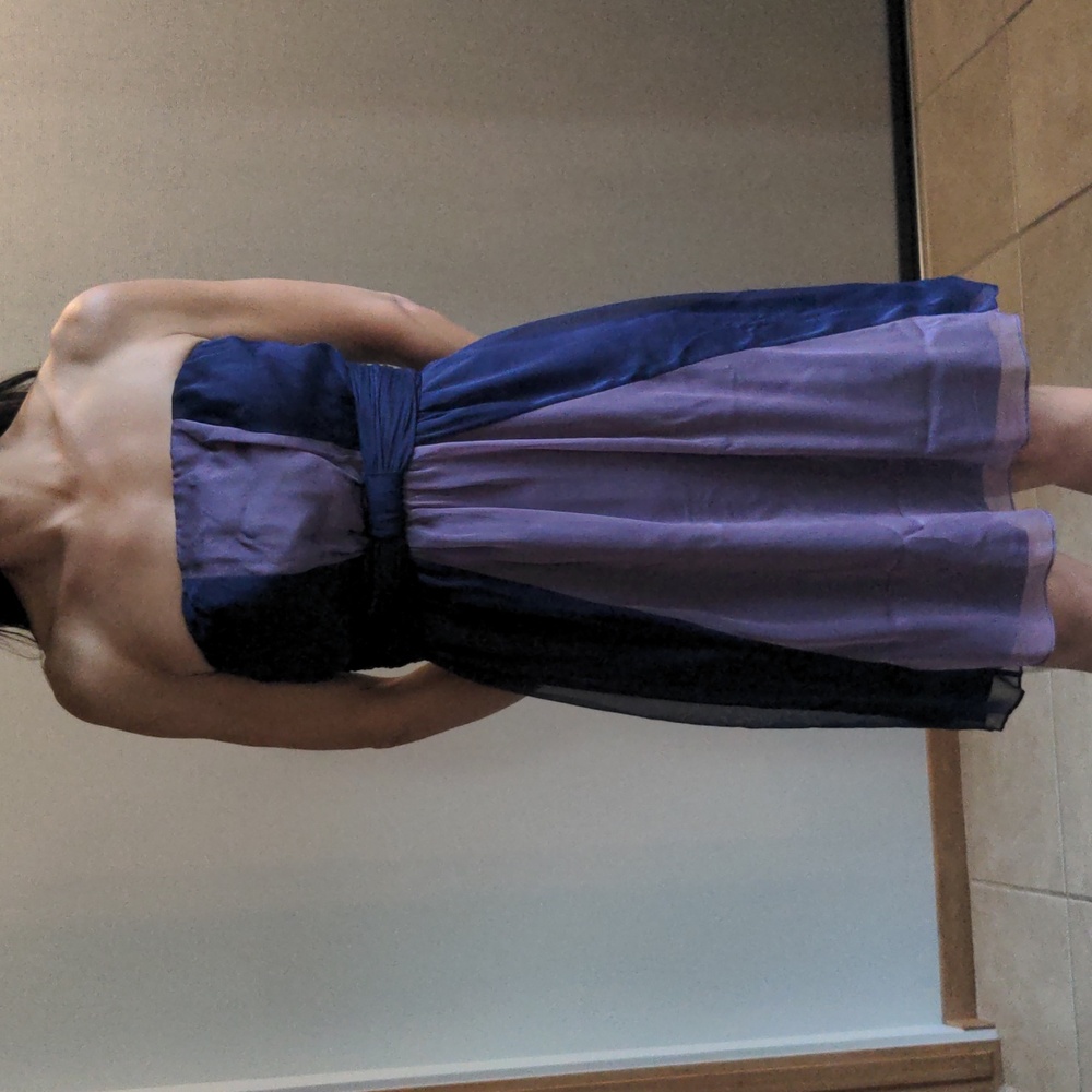 NWT Purple formal/cocktail strapless dress